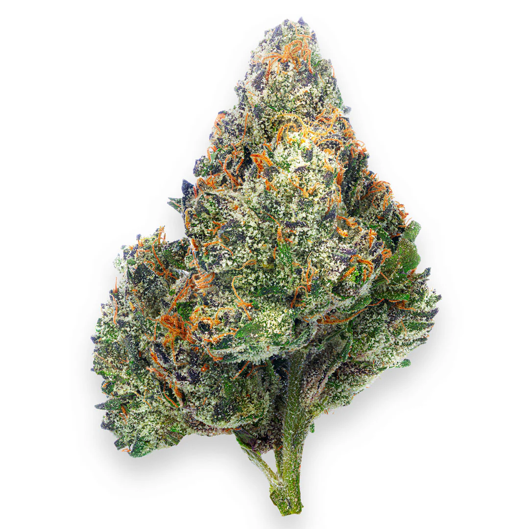 Boutique Exotics - Coffin Candy - 28 Grams - Hybrid - Image 2