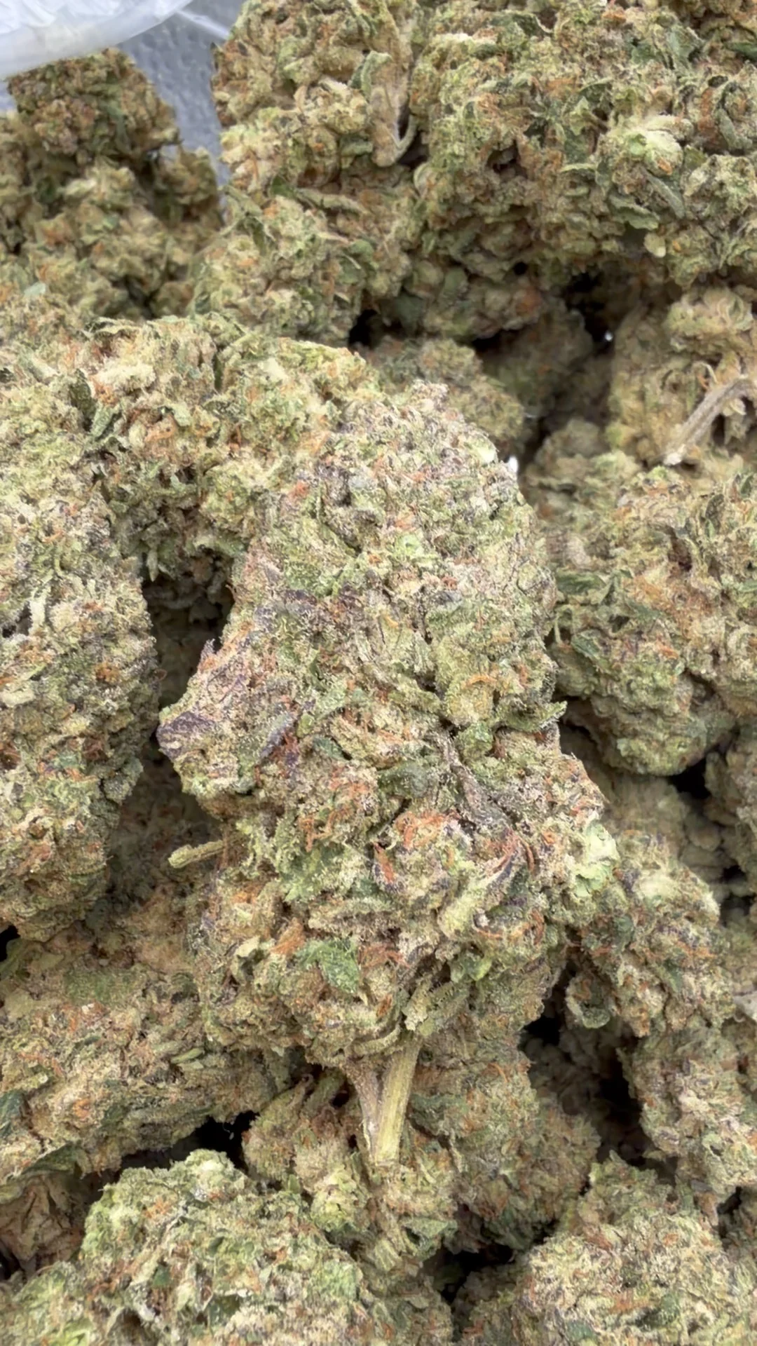 LA Pop Rocks - Bulk - Indica